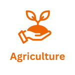 MBA College in Hyderabad